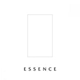 Ever After Pigments Essence Mixing Solution