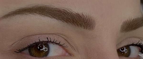Brushed Up Brows. Permanent Makeup Tips