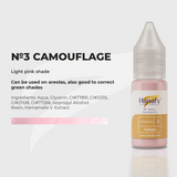 Camouflage no 3